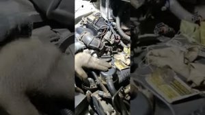 Газель Cummins Форсунки не выходят