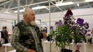 Новый сорт флокса назван в честь нашего центра - "Евразия Питерская"!