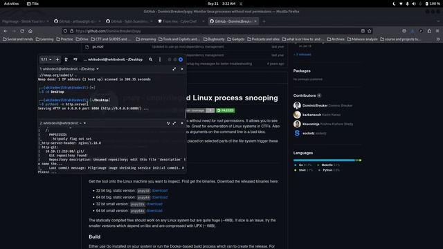 Pilgrimage | HTB WRITEUP | CTF WALKTHROUGH смотреть онлайн