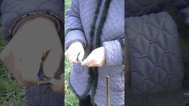 Весенняя перепрививка молодой яблони