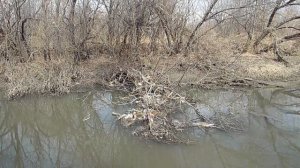 Новости Хабаровска.Речка Чёрная.Экологическую катастрофу видно из космоса.