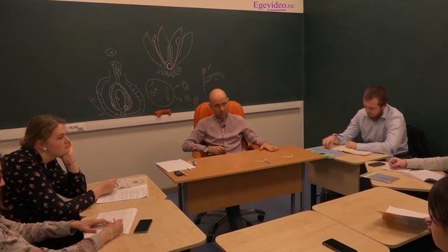11. Три классификации плодов в ЕГЭ по биологии