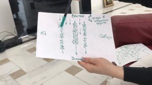 ?Ориентирование грядок. Разница в ориентировании гряд в открытом грунте и теплице.