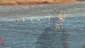 Два региона на Алтае − чем они отличаются?