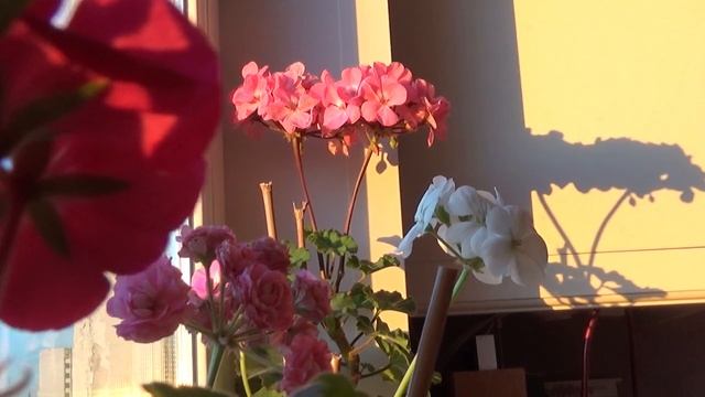 Как устроить пижамную вечеринку дома? DIY #пижамнаявечеринка