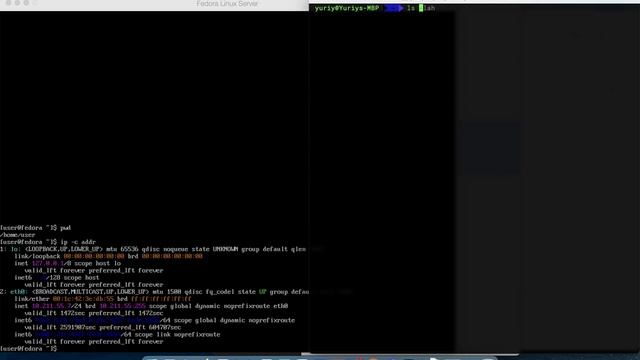 Как скопировать файл с удаленного сервера linux на локальную машину macOS смотреть онлайн
