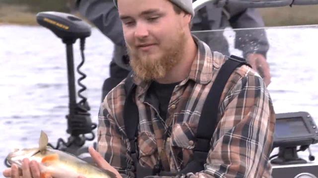 How to catch a big perch