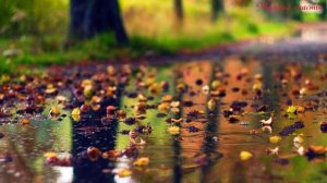 Золотая осень Детская песня