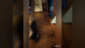 Чем очистить клей от скотча с зеркала