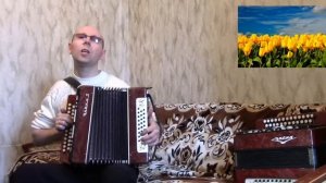 "Жёлтые тюльпаны".(Н. Королёва).Гармонь.