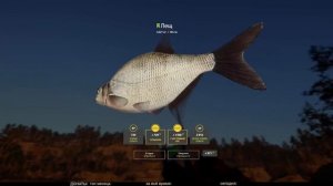 ?Русская Рыбалка 4 (РР4)?оз. Куори?ГДЕ ЛОВИТЬ ЛЕЩА НА КУОРИ?03.04.2023  #246?