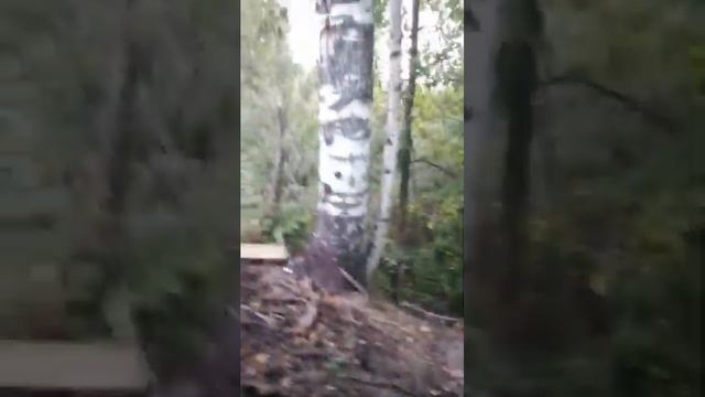 троллинг друга**чуть не спалили**