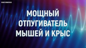 ▶️Ультразвук от мышей и крыс Самый мощный отпугиватель грызунов!!! Уничтожитель мышей и крыс