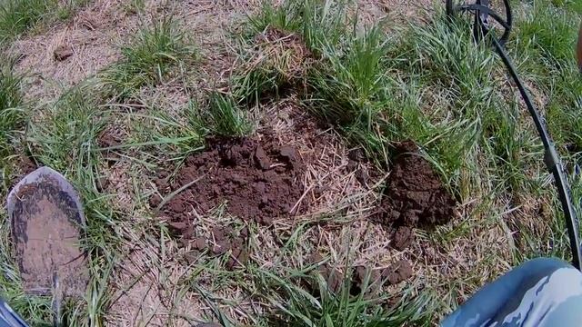 Новый прибор-XP Deus.Проба на выбитом поле! Коп 2017. смотреть онлайн