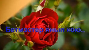 Дилара Курамшина. Сине соясем килэ...