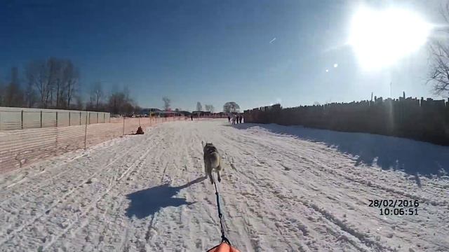 Старт Прокина Александра 2 день "Зимняя Сказка 2016" смотреть онлайн