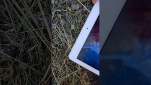 Я разбил iPad ??