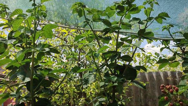 Небеса могут подождать, Краснодарский край🌻🌻🌻 смотреть онлайн