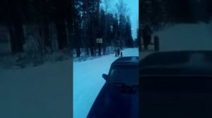 Каракат из мотоблока