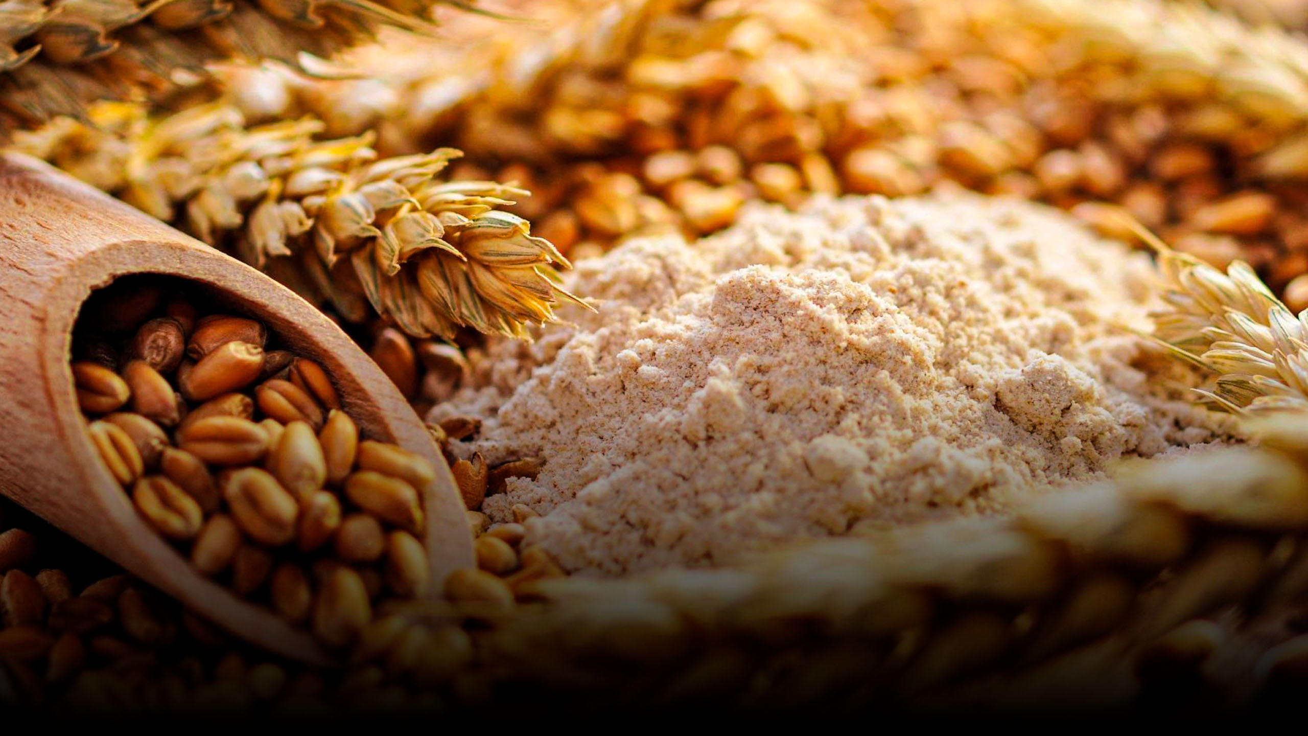 "Над пропастью без ржи": на сколько хватит пшеницы? / РЕН Новости