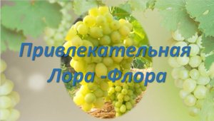 Лора виноград Флора