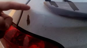 Лип спойлера на Шевроле Круз хетч бек