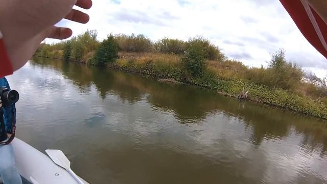 Где живёт голавль? смотреть онлайн