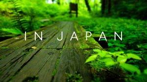 LoFi Mix | Музыка в японском стиле