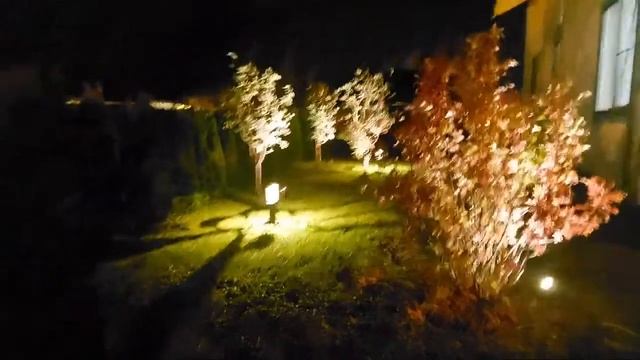 Вечерний Эфир Медиасада. Фестиваль В Подсветке смотреть онлайн