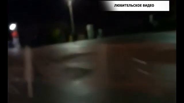 В районе Майна замечено дикое копытное животное смотреть онлайн