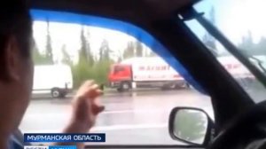 В Мурманской области медведи выходят к людям