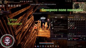 Black Desert : Споты без мусора  Гуппи- Пиранья