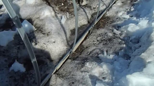 Недорогой вариант теплицы. Теплица Томато.