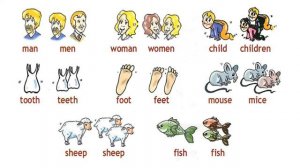 Spotlight 3 p.76 ex.2 CD