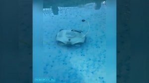 Пылесоc Kokido Manga Plus