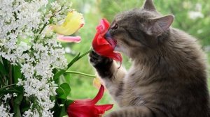 Ты смеялась надо мной...