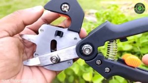 Прививочный секатор Садовый секатор Загородная жизнь