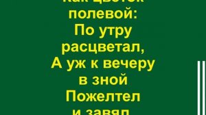 Наша жизнь коротка