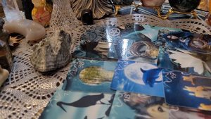 БУМЕРАНГ ВРАГАМ