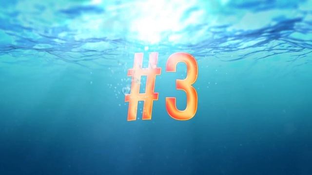 6 Bull Shark Attacks on People смотреть онлайн