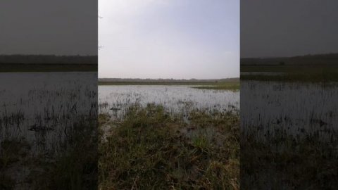 Красота природы.
Места моего детства