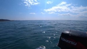 Штилевое Охотское море. Клюёт без остановки!
