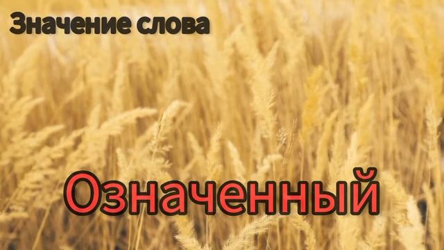 Что означает слово означенное