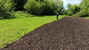Борьба с сорняками на целине.