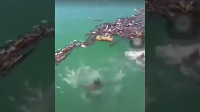 Премия Дарвина смотреть онлайн