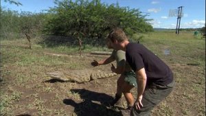 Animal Planet HD ПРИРОДА КАК ОНА ЕСТЬ