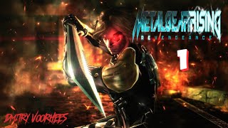 Project _Ностальгия_ Прохождение Metal Gear Rising_Revengeance # 1 НАЧАЛО {2013}