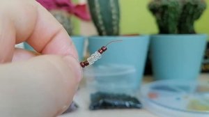 Делаем енота? из бисера в технике параллельного плетения