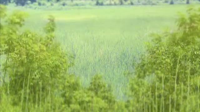 test Olympus epl 1 Tilt-Shift смотреть онлайн