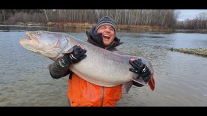 2019 Таймени Клип